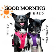 わさびとたらこ