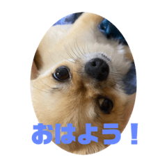 もんじろうSTAMP