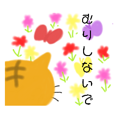 後ろ姿にゃんこ。