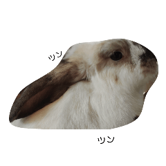 スタンプ気持ち伝え