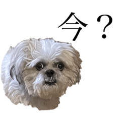 石川家の送り迎え専用スタンプ