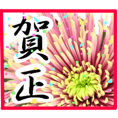 新年の挨拶に花を!!Part2