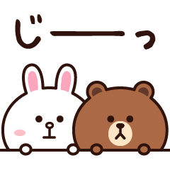 動く♪毎日使えるブラウン＆コニー