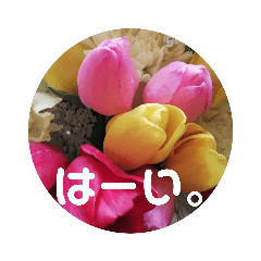 花　写真　あいさつ　春