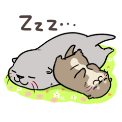 春にぽかぽか♪カワウソさん