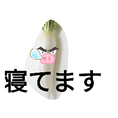 大根大根