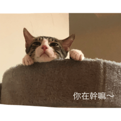 Anastasia_20220621154848