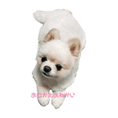 こうめ1スタンプ