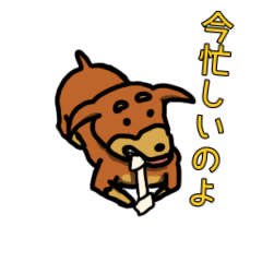 ミニピンわんこそば