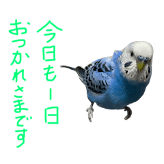 くぅちゃんの日常2