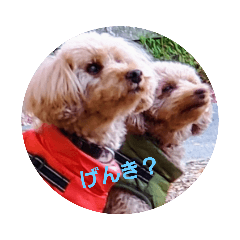 プーたちとワタアメ