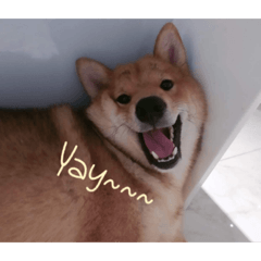 Annie_20221227094104