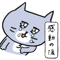 気持ちを伝える灰色キャット