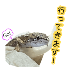 ゆるかわ　ハリョチュースタンプ2