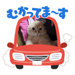 優と琢磨と蘭癒し1000%の巻No.02