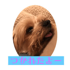 ふうかスタイル