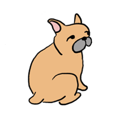 目を合わせてくれないベンジャミン