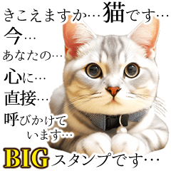 猫です【リアルでBIG】定番＆流行った言葉
