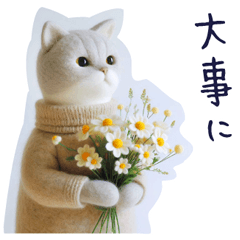 ネコ【病気見舞い】体調を気遣う温かい言葉