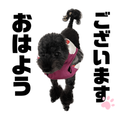 兵藤べるの日常