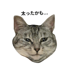 ゆずの日常ver.いち