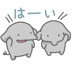 ゾウの日常色々