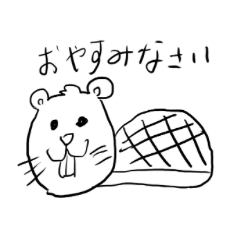 今日もビーバーです。