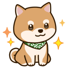 かわいいだけじゃない柴犬