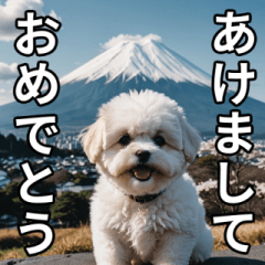 白いワンコだけ！あけおめスタンプ(再販)