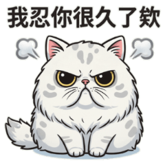 I've put up with you for so long!