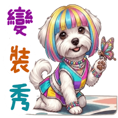 cute Maltese magic show!