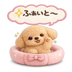 ふわもこトイプー【毎日編】