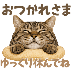 猫のすたんぷ。。。可愛い仕草で毎日使える