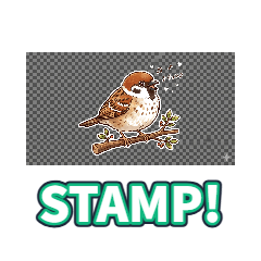 Sparrow wwww