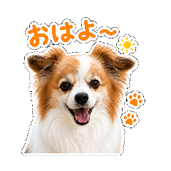 たれみみパピヨン日常用無料