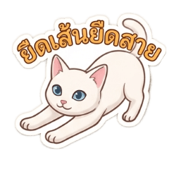 White Little Kitten