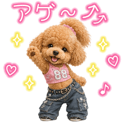 ギャル♡トイプードル
