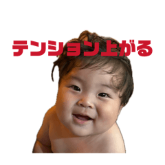 藤まるくん2