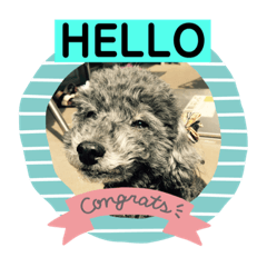 キキちゃんの１日