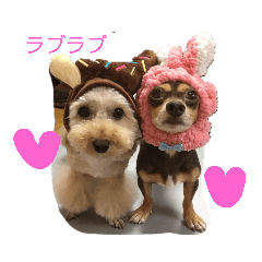 可愛い愛犬 愛猫 シリーズ 2