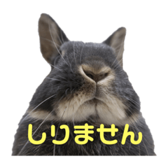 もちこといもこのひとことスタンプ