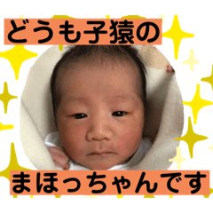 子猿のまほっちゃん（生後1ヶ月）