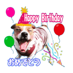 メイたん♡第二弾