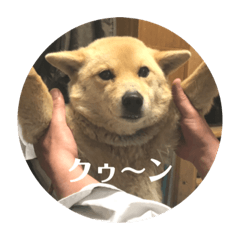 我が家のパフェ