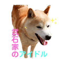 いぬは犬でもイッヌないぬ