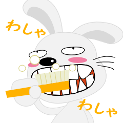 いつものウサギさん