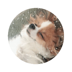 次男くんパートとぅ