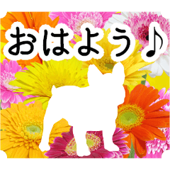 暮らしに花を♪花と犬