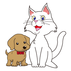 キャット＆ドッグ コレクション2020