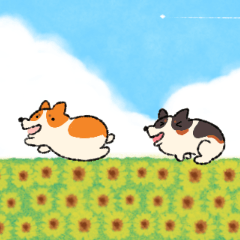 コーギーの旅(夏休みver.)